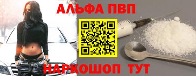 индика Кингисепп