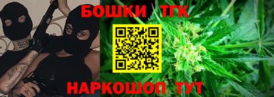 индика Кингисепп