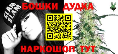 шишки Кинель