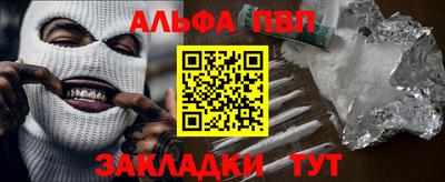индика Кингисепп