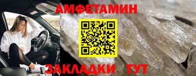 индика Кингисепп