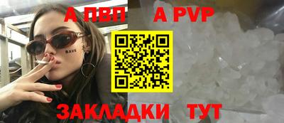 индика Кингисепп
